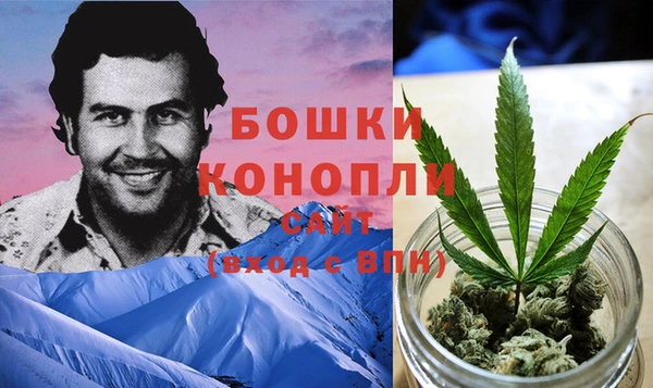 не бодяженный Аркадак