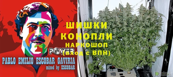 соль курить ск Алексеевка